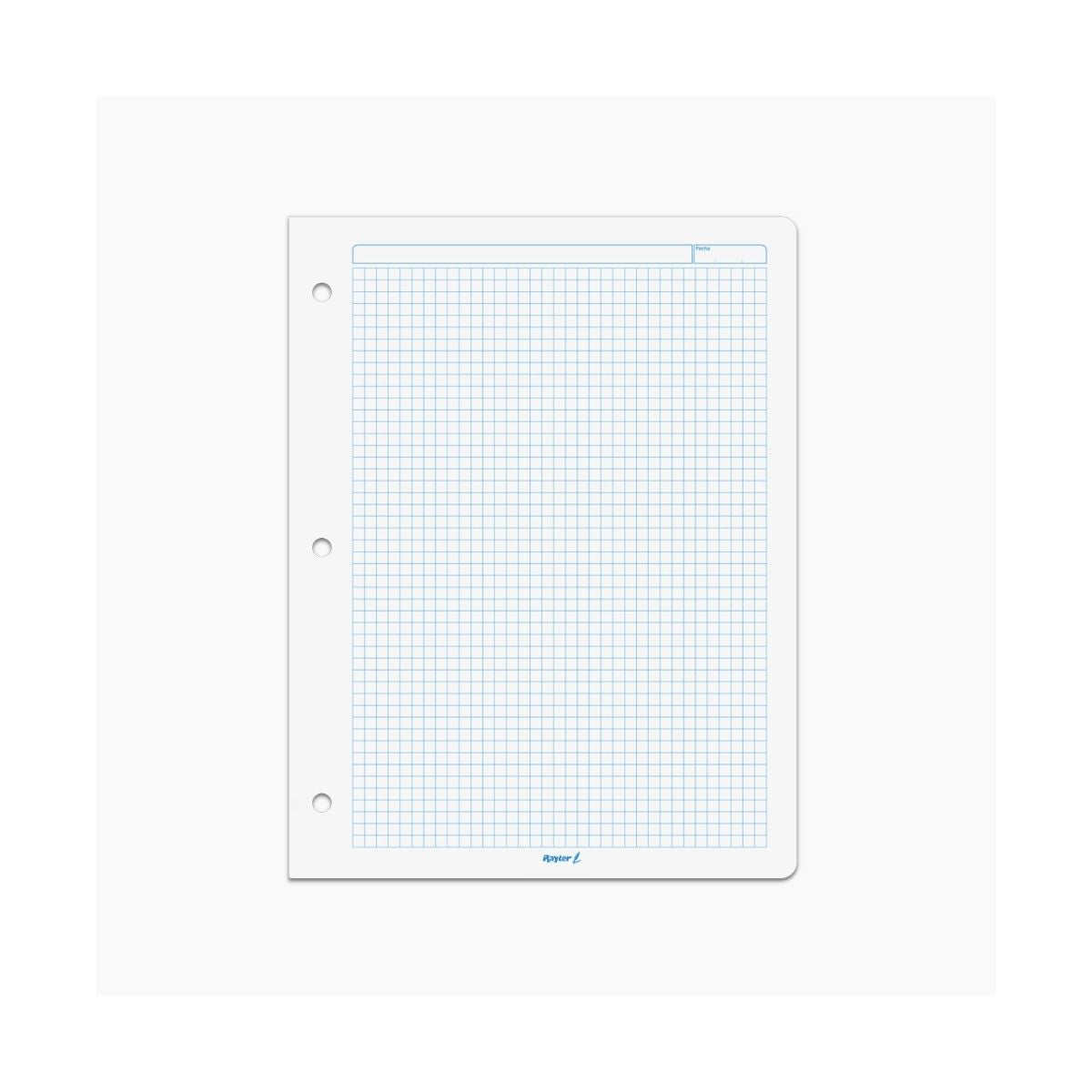 100 Hojas Repuesto Carpeta Rayter Tamaño Carta A Elegir 56g Cuadro Chico