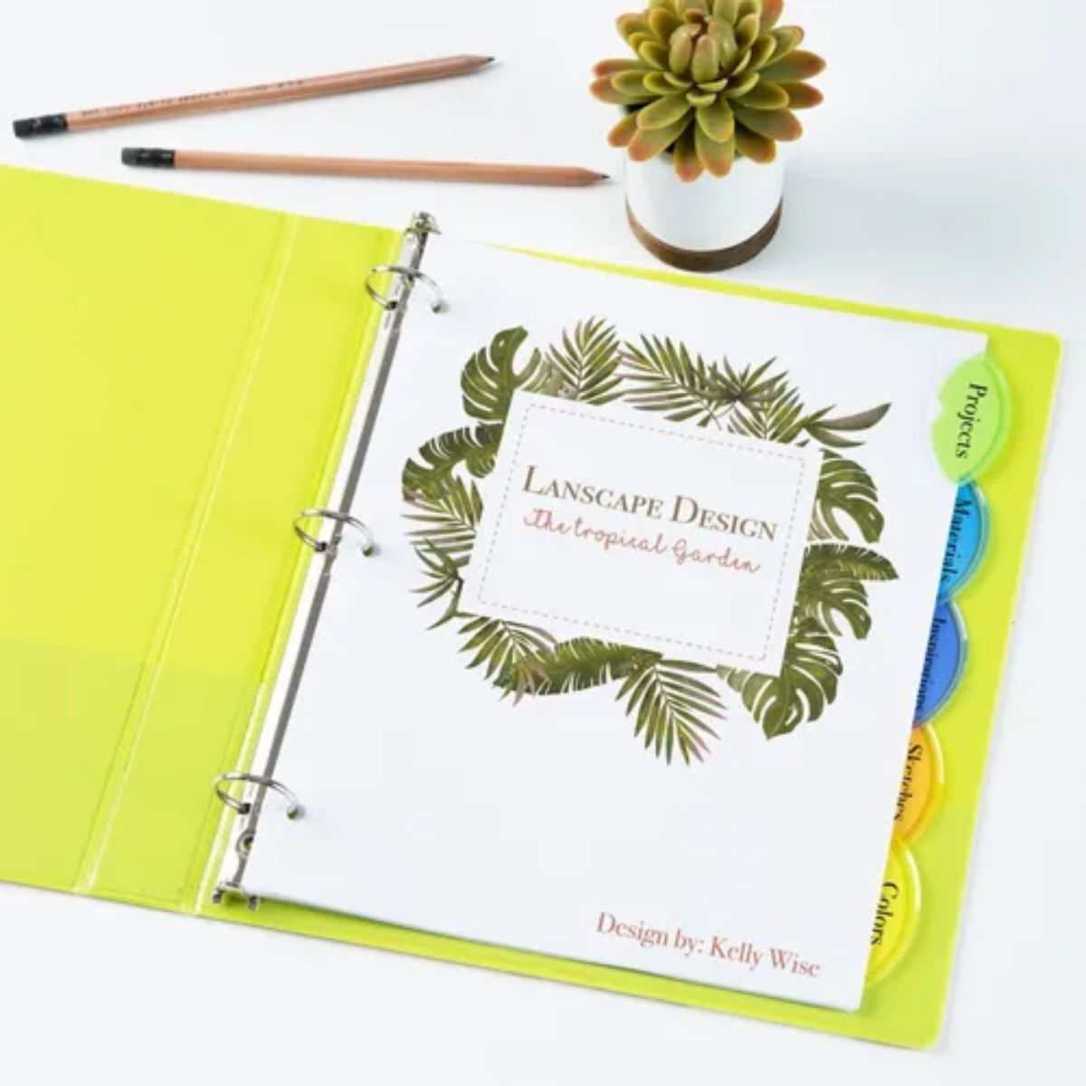 5 Pestañas Ovaladas Separador Plástico Avery Insertables