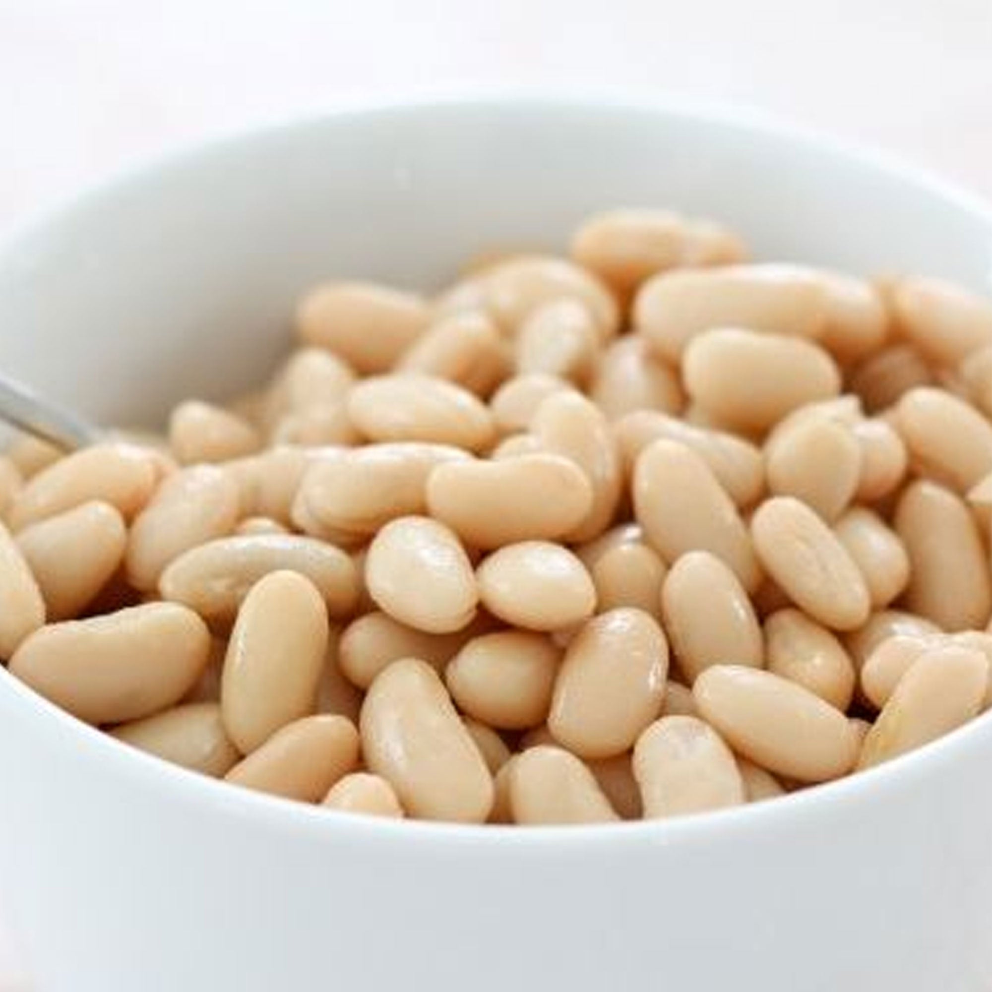 Alubias Extra 570g - Enlatados y Conservas La casa del bacalao