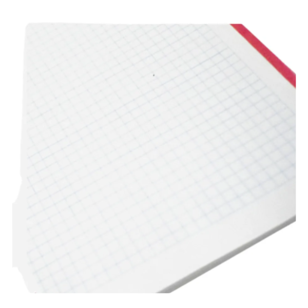 100 Hojas Repuesto Carpeta First Class Carta Cuadro Grande