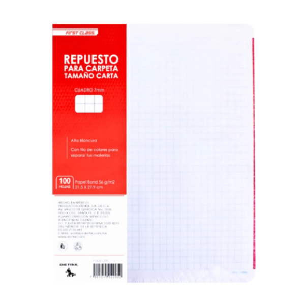 100 Hojas Repuesto Carpeta First Class Carta Cuadro Grande