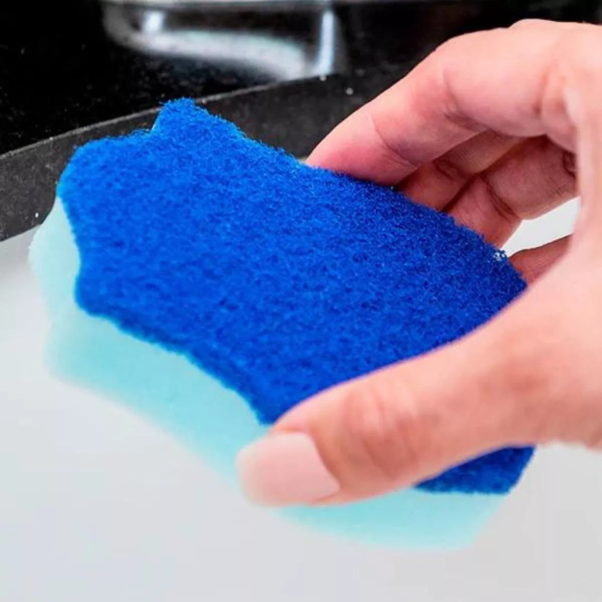 2pz Fibra Esponja Multiusos Practica Reynera