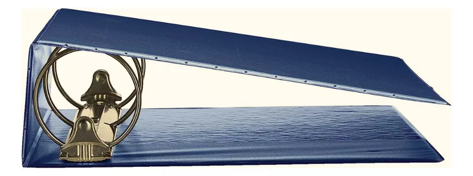 1 Carpeta Vinil Baco Personalizada Carta Economica 3pulgadas Color Azul