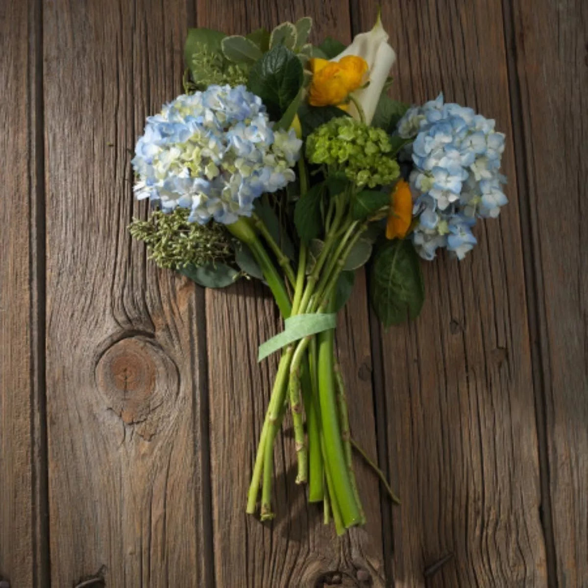 12pz Cinta Guia Plantas Velcro ® Correa Manualidades Jardin