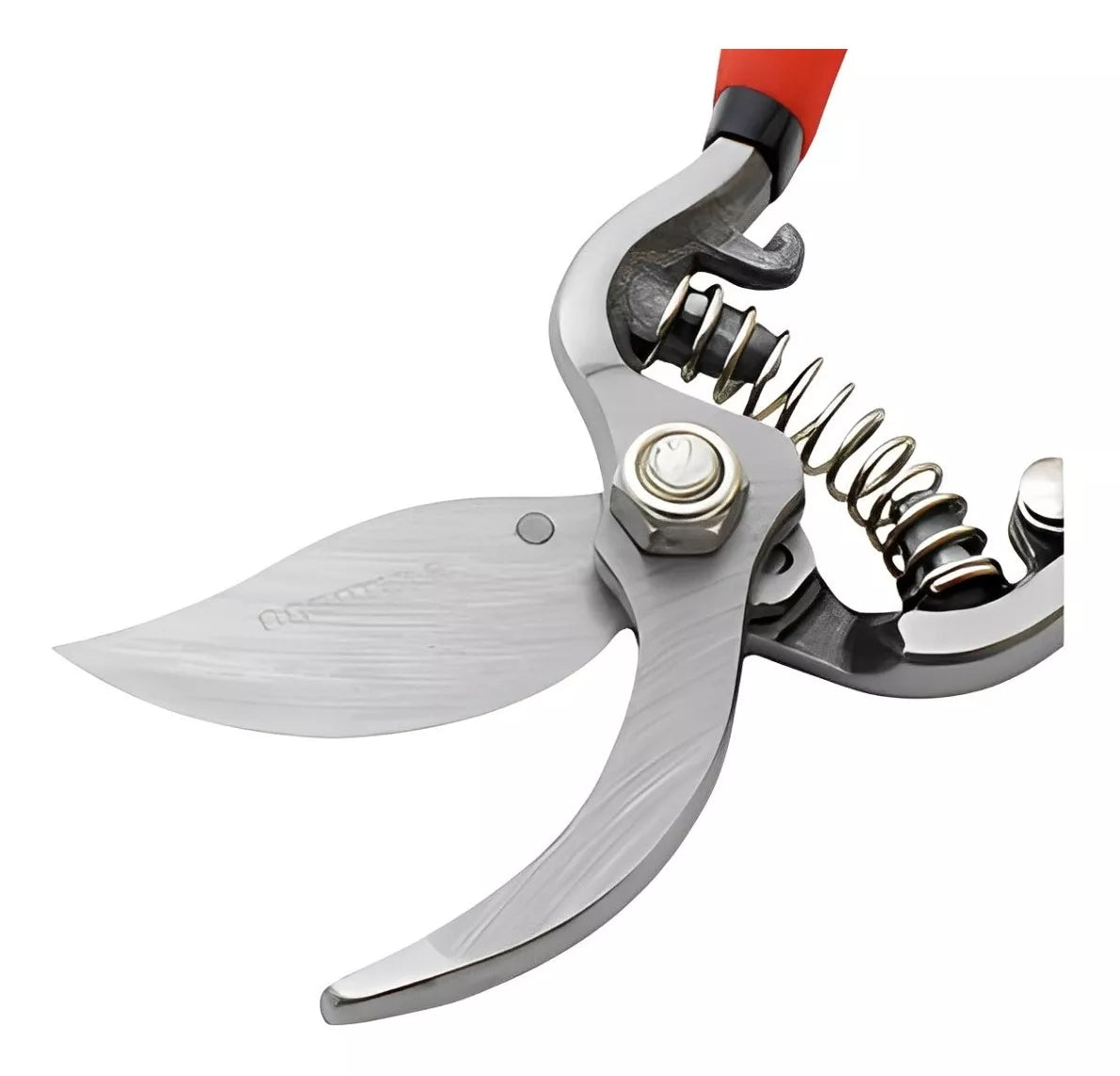 Tijera Podar Curva Forjada Hoja 6´´ Dogotuls Profesional