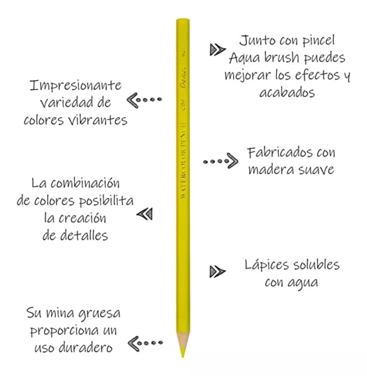 36 Lápiz Color Acuarelable Pentel Arts Profesionales Arte