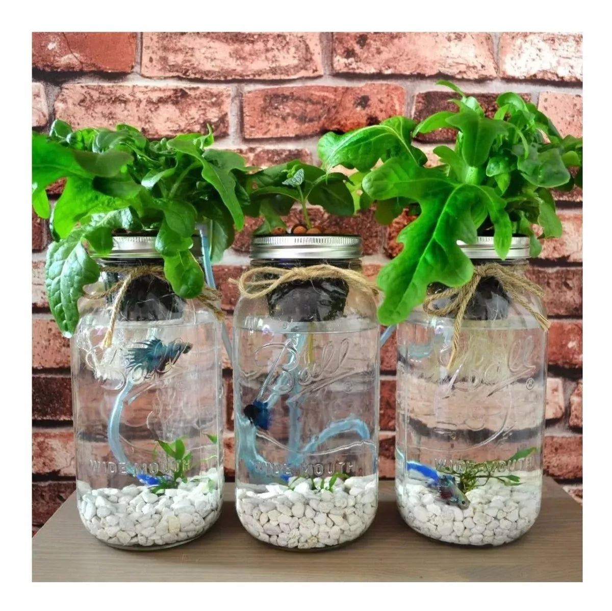 2pz Mason Jars Ball Hermetico Boca Regular 946 Ml Tapa Humo