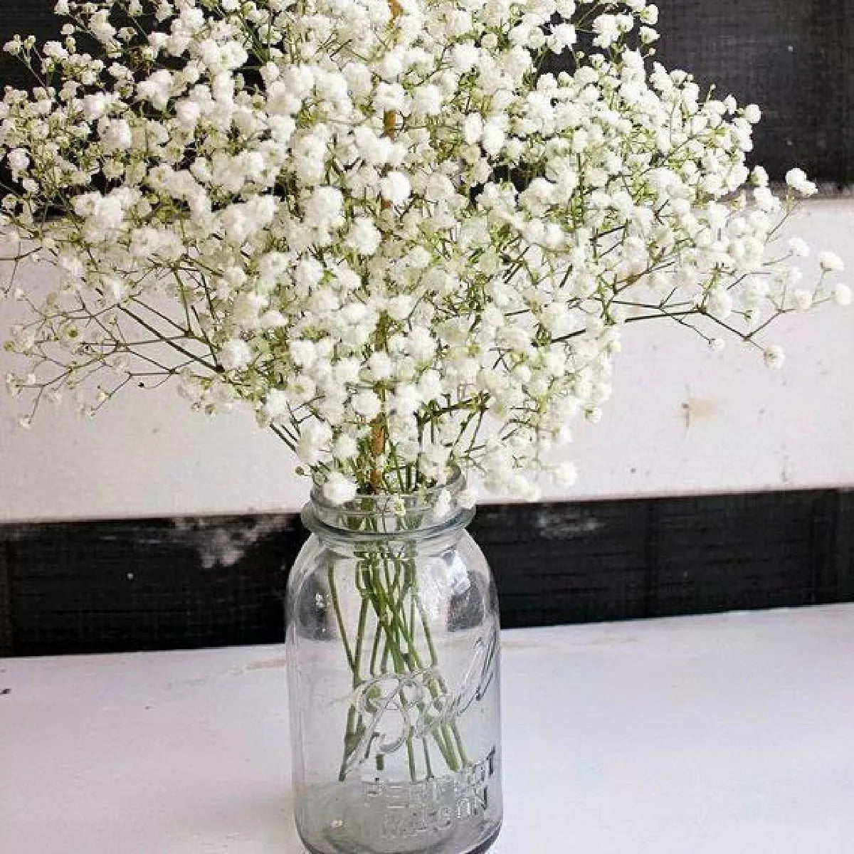 4pz Frascos Mason Jars Ball Vidrio Boca Regular 32oz