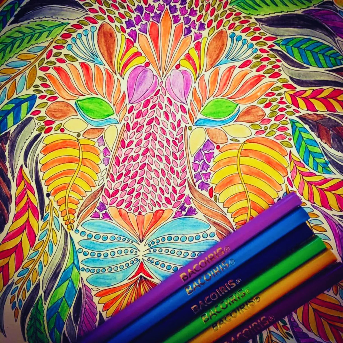 24 Lapices Colores Baco Largos Redondos Bacoiris Escolar