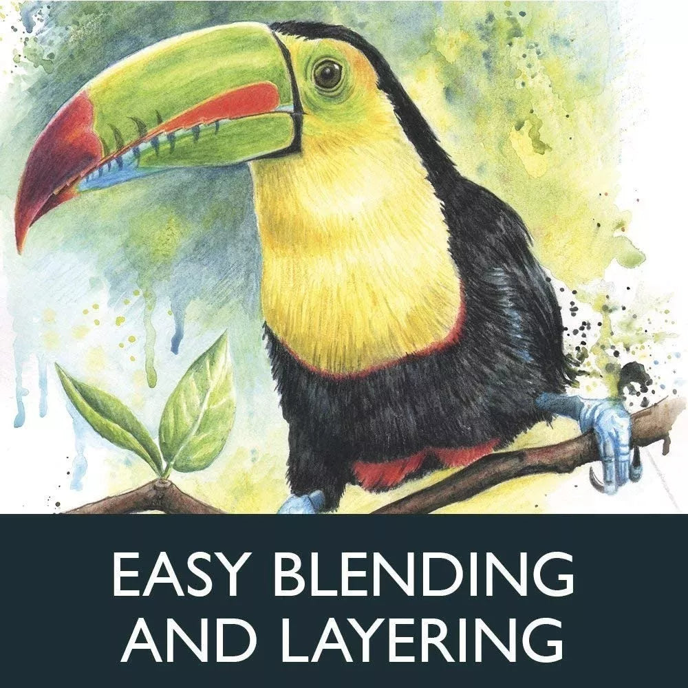 Lápices Derwent Acuarelables 36 Piezas Caja Metal