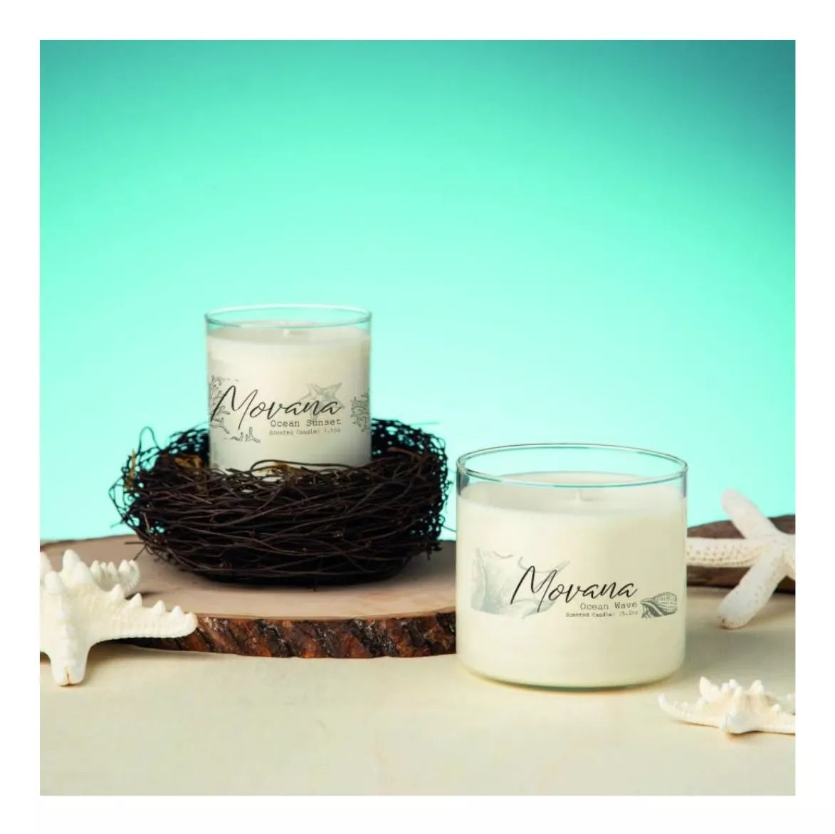 700 Etiquetas Transparente Permanente Avery 3.4 X 10.2 Cm