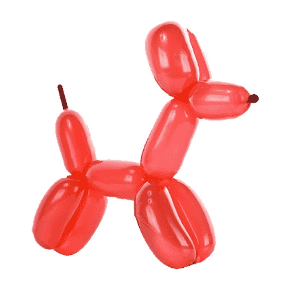 50pz Globos Payaso Largos #270 Elige Color Fiesta Decoracion