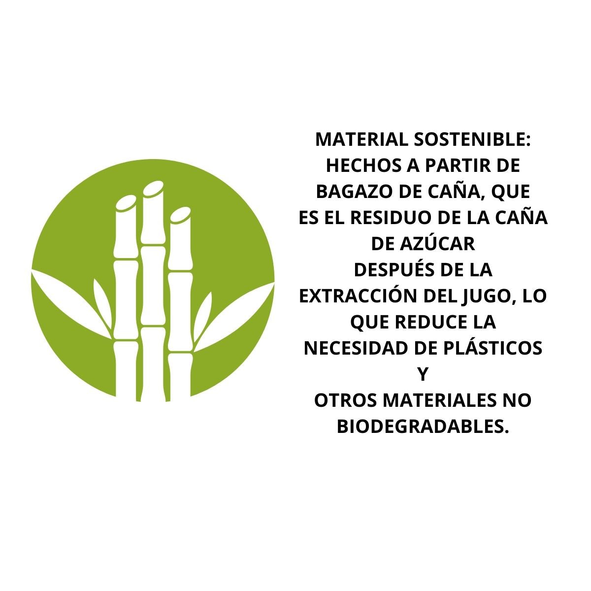 10pz Platos Biodegradable Party Is On Plato Bagazo Caña N°9