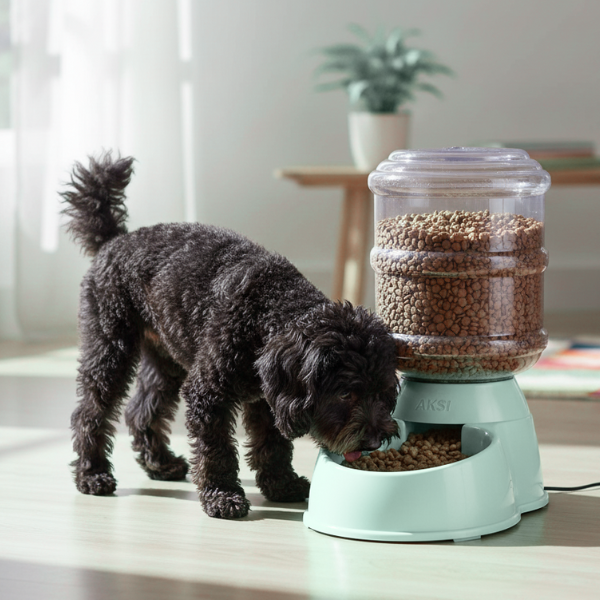 Alimentador Automático AKSI PETIT Mascotas, Dispensador por Gravedad - 3.8L (1 Galón) - Verde