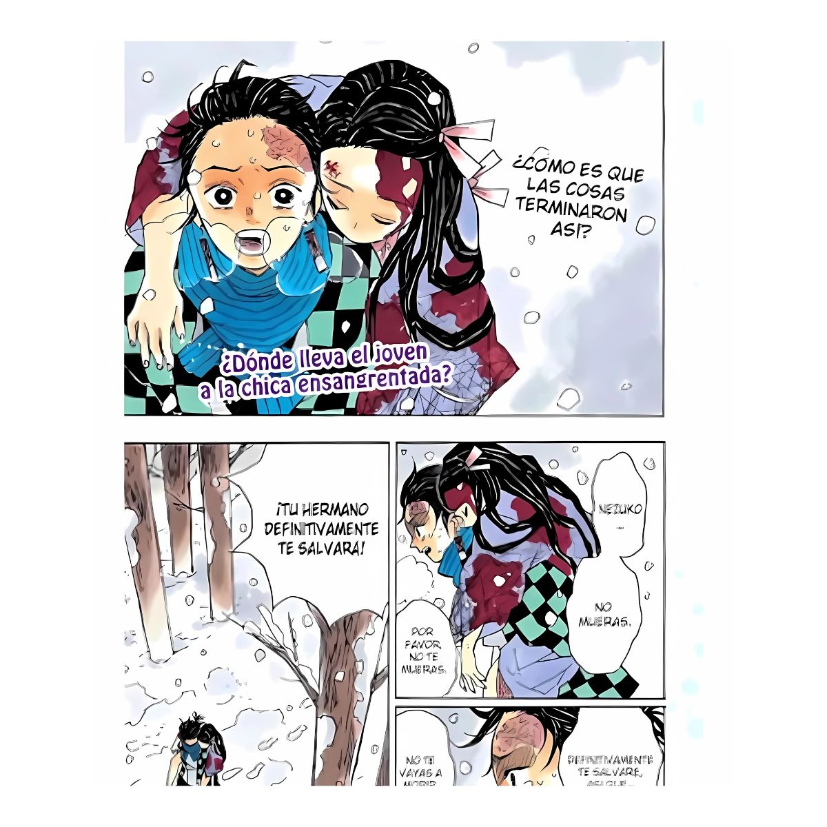 Demon Slayer La Flor De La Felicidad Panini Novela Manga