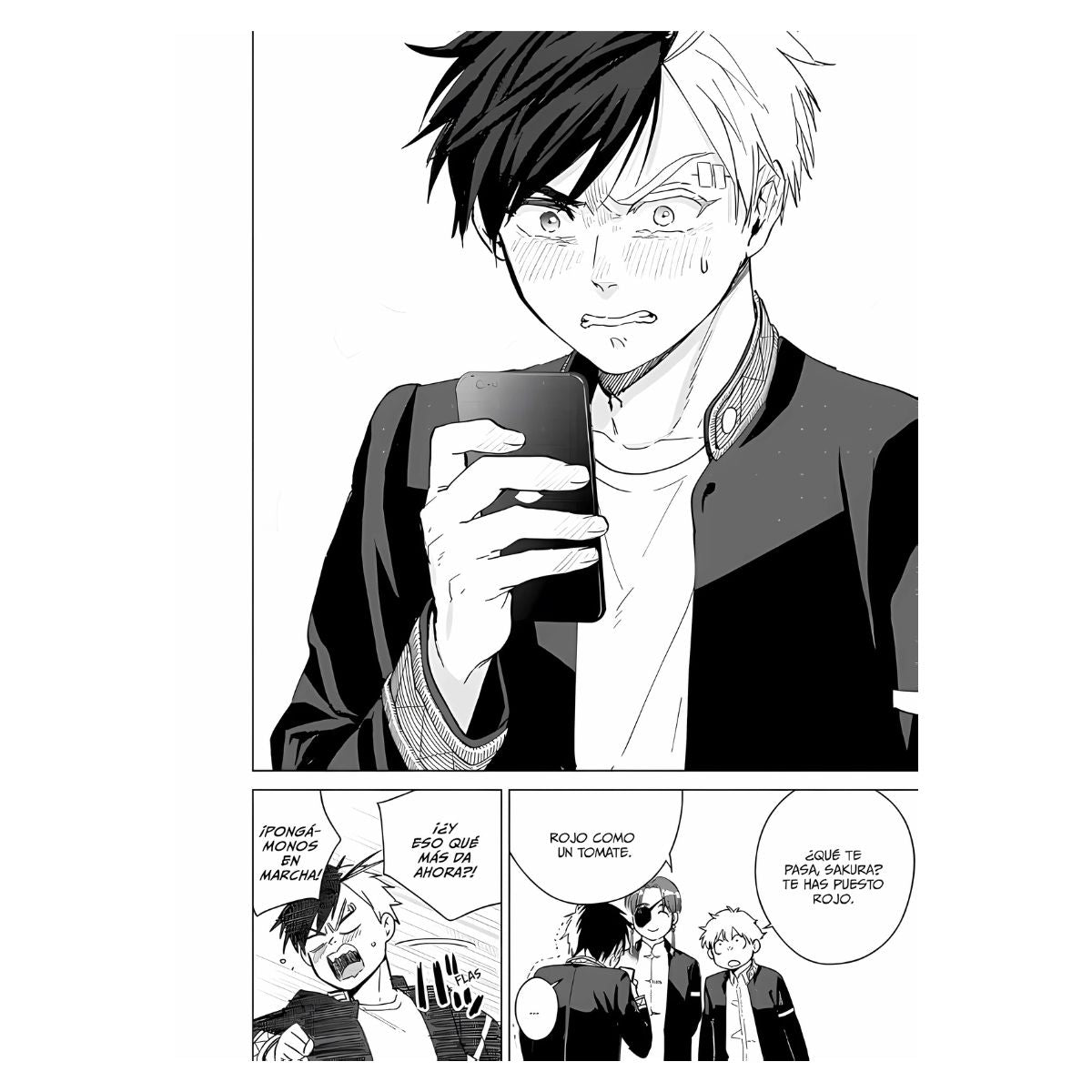 Wind Breaker N.5 Panini Anime Español