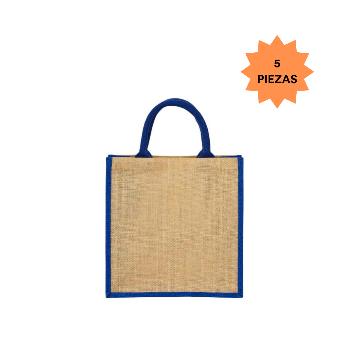 5 Bolsa Ecologica Colores 30x30 Interior Plastificado