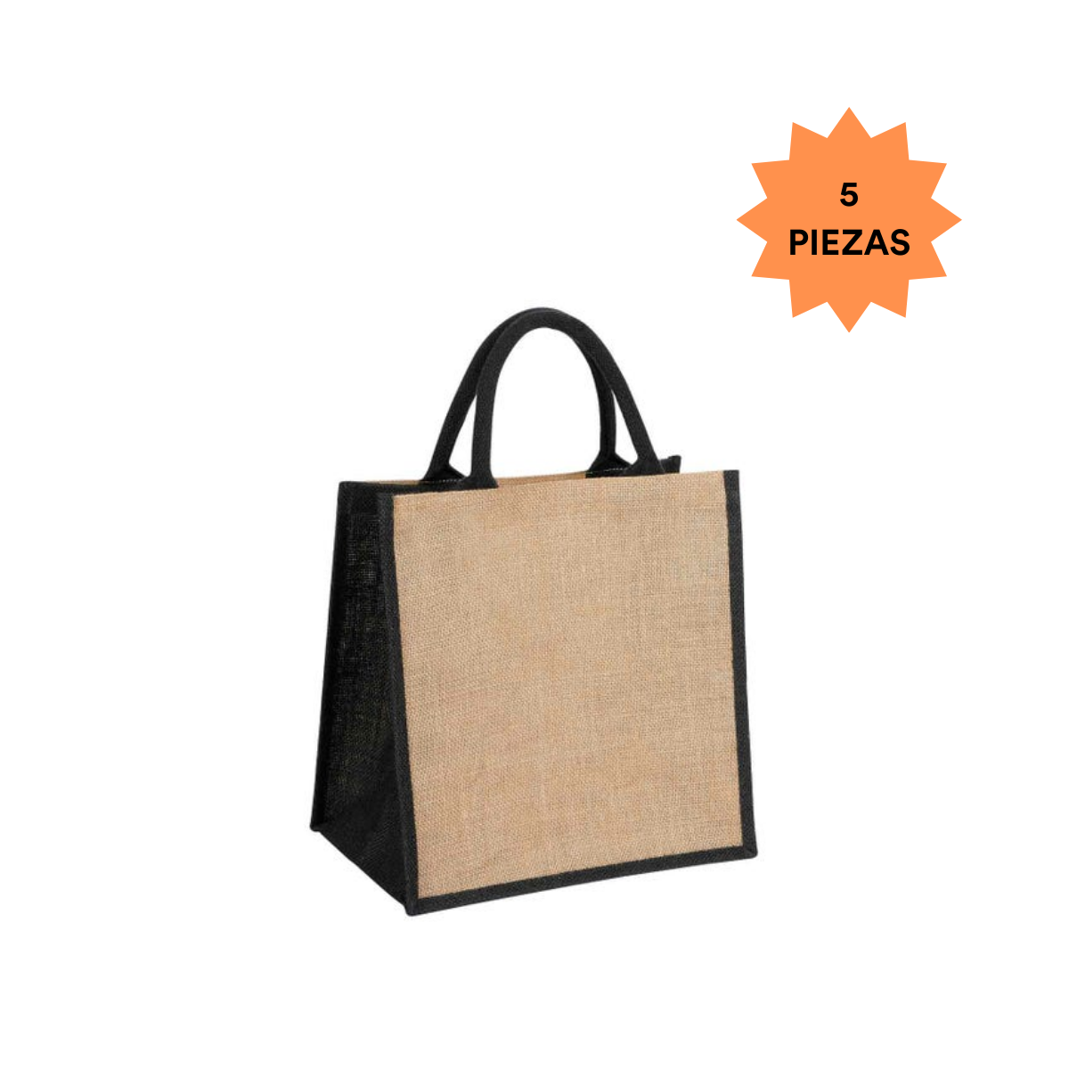 5 Bolsa Ecologica Colores 30x30 Interior Plastificado