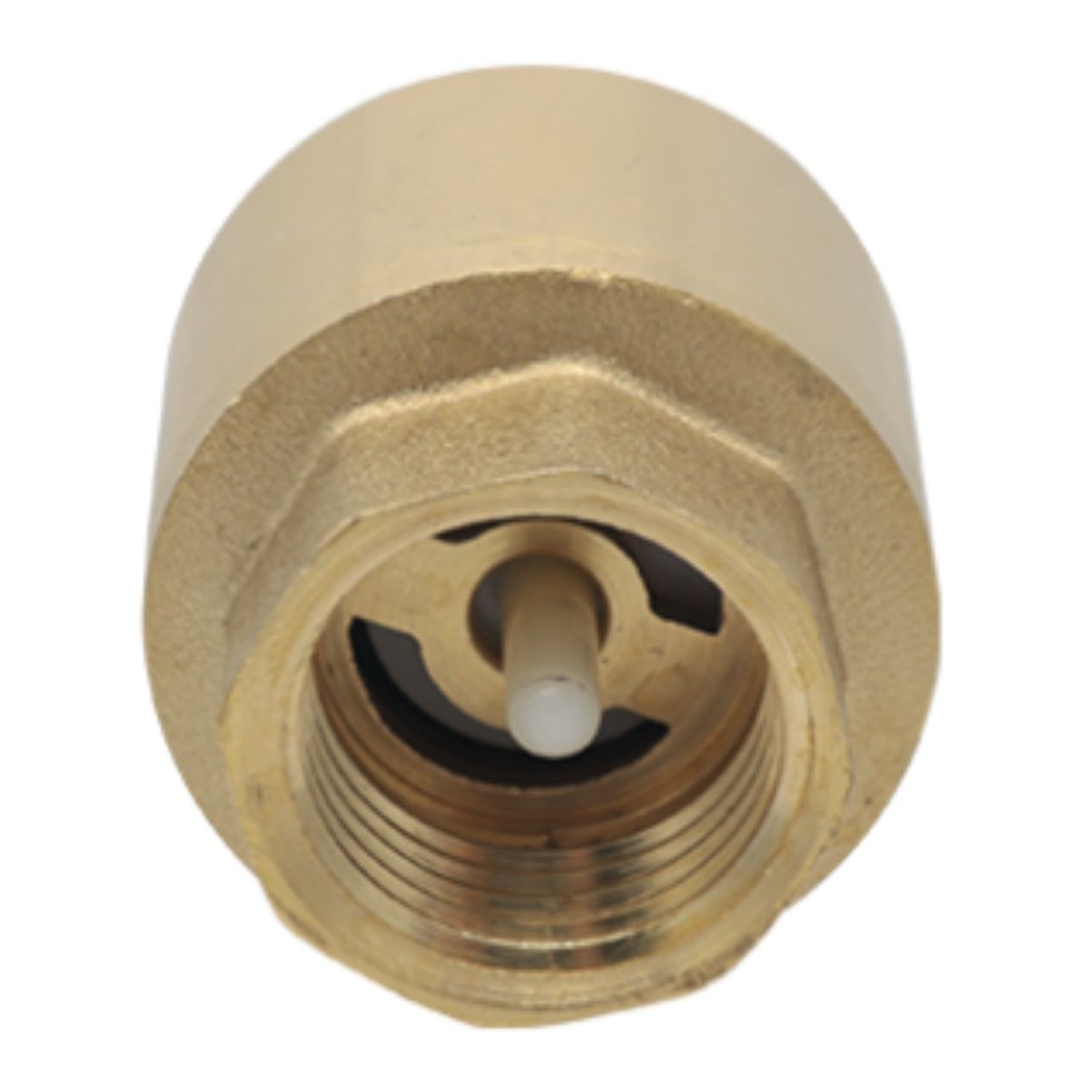 Valvula Chek Resorte 1” x 1” CNX Cuerpo Laton