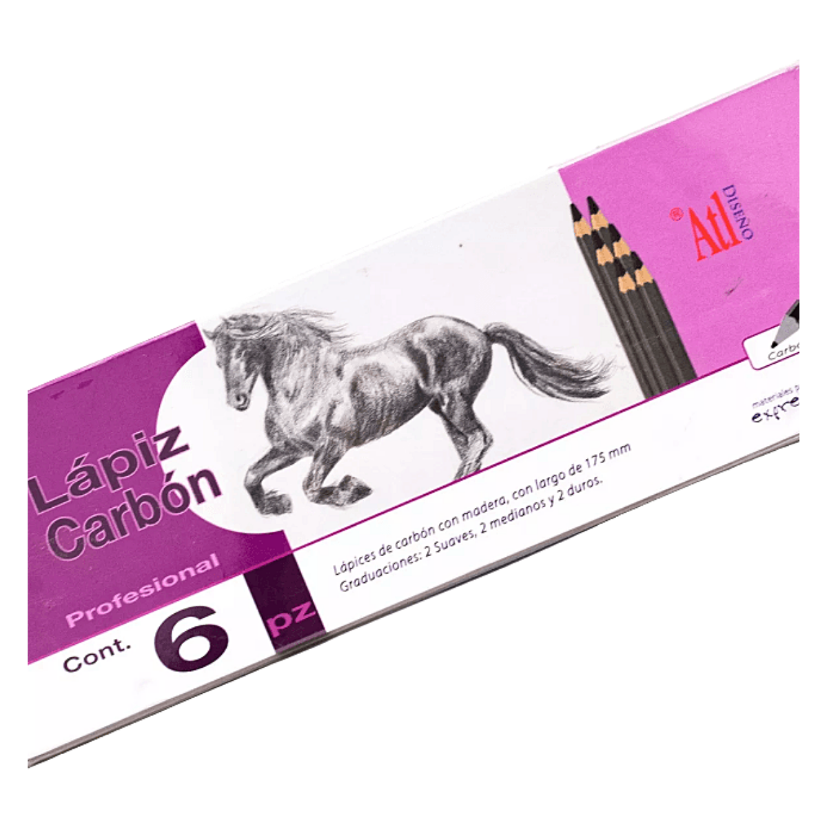 Estuche Con Lápices De Carboncillo - MarchanteMX