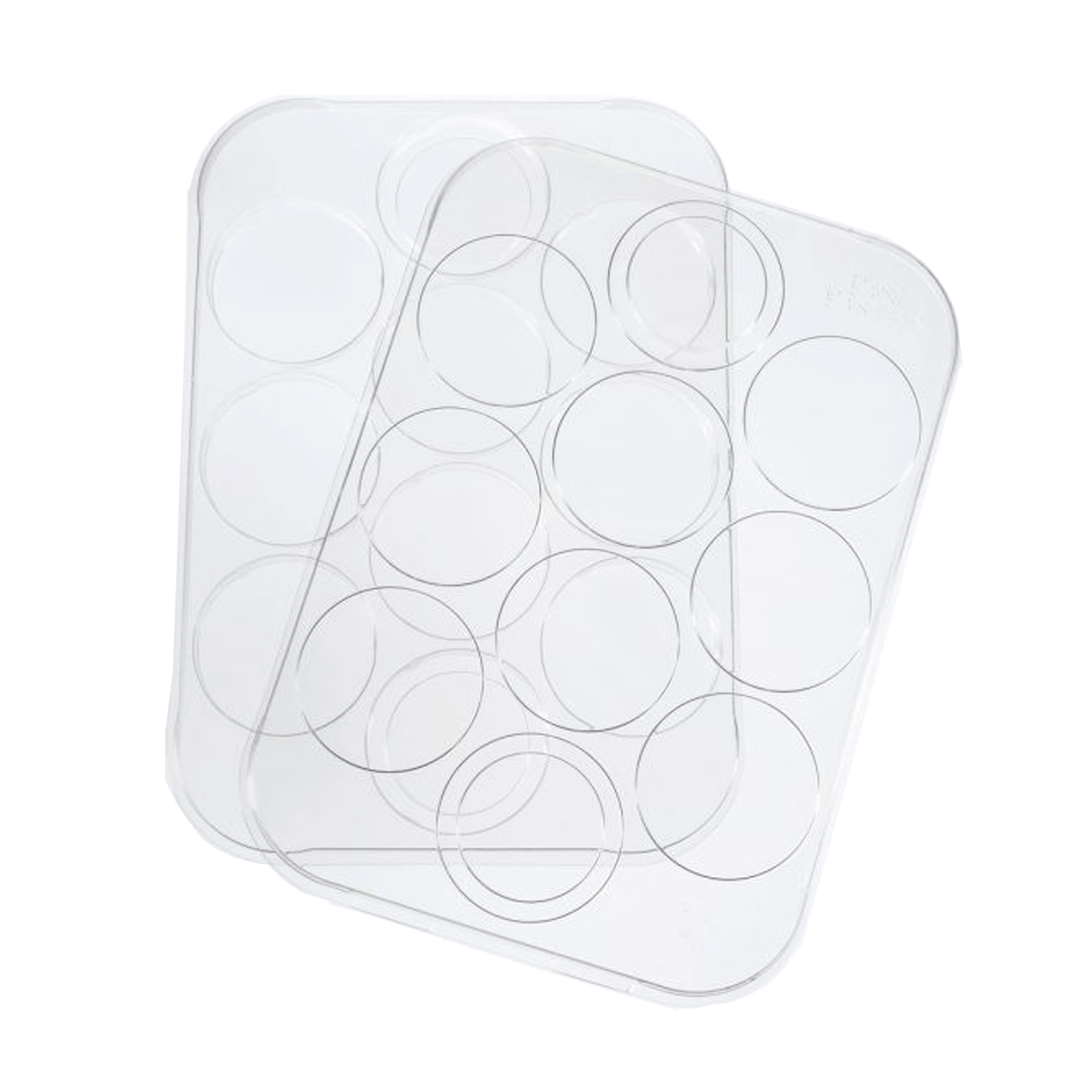 PANPASTEL - Godete para 10 colores