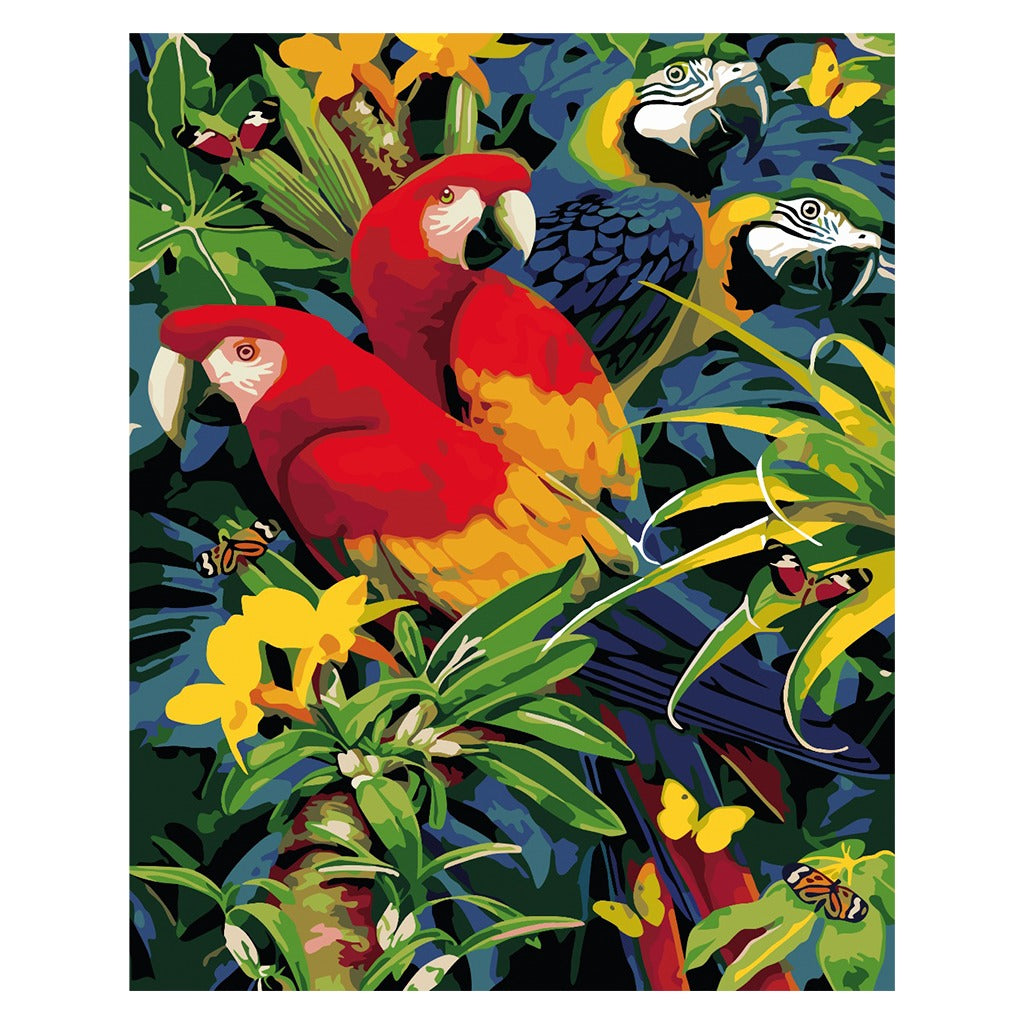 PINTA POR NÙMERO GUACAMAYAS 40X50