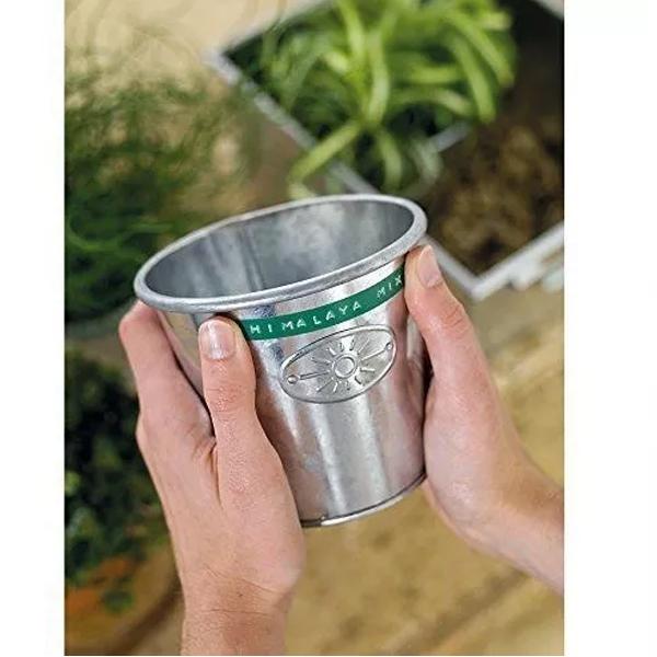 Cinta Plástica Colores Surtidos 9mm Dymo 3 Piezas - MarchanteMX