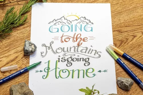 Marcador Plumón Caligrafía De Doble Punta Staedtler 12 Pieza