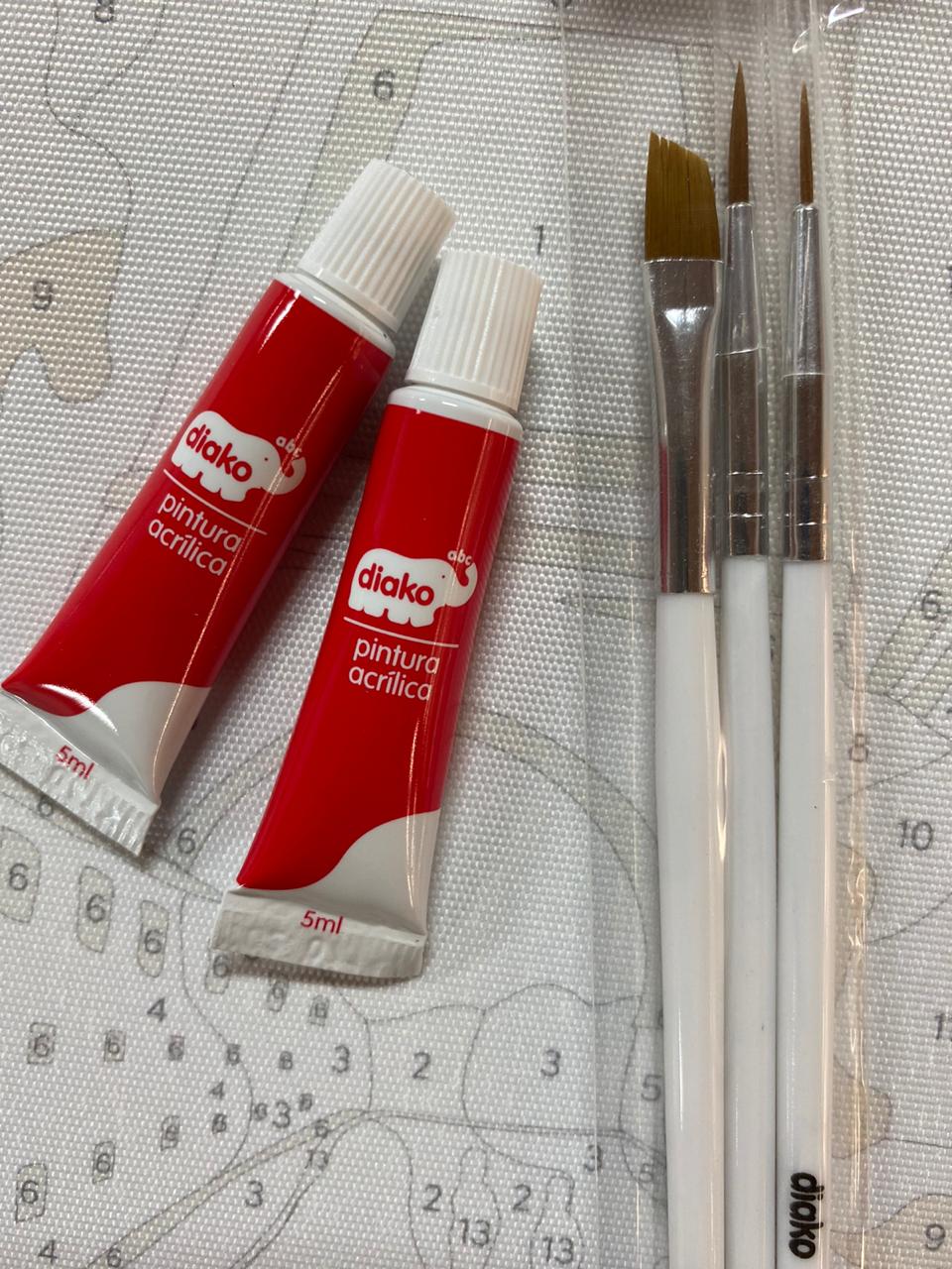 Kit Pintar Cuadro Decorativo Por Número Oleo Pintura 30x40cm