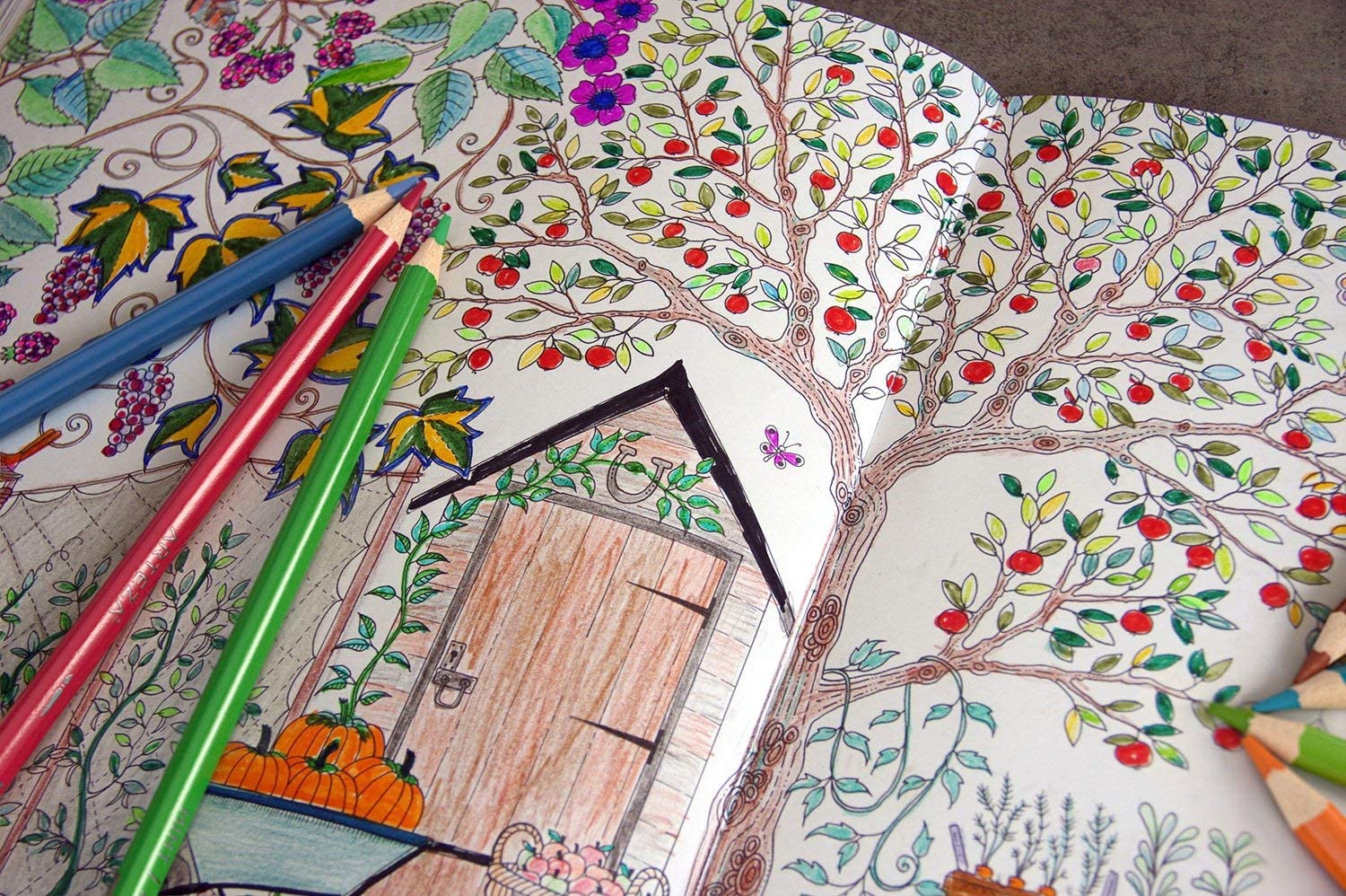 Set 48 Lápices Acuarelables Dibujo Acuarela Premium Arteza