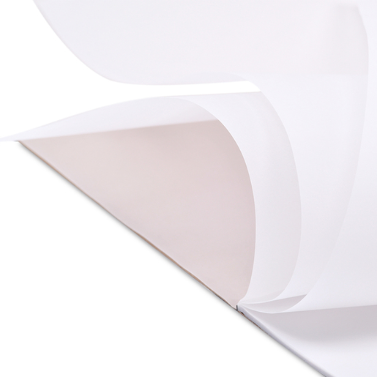 Block Papel Albanene Rayter 90-95 Tamaño Carta 25hjs