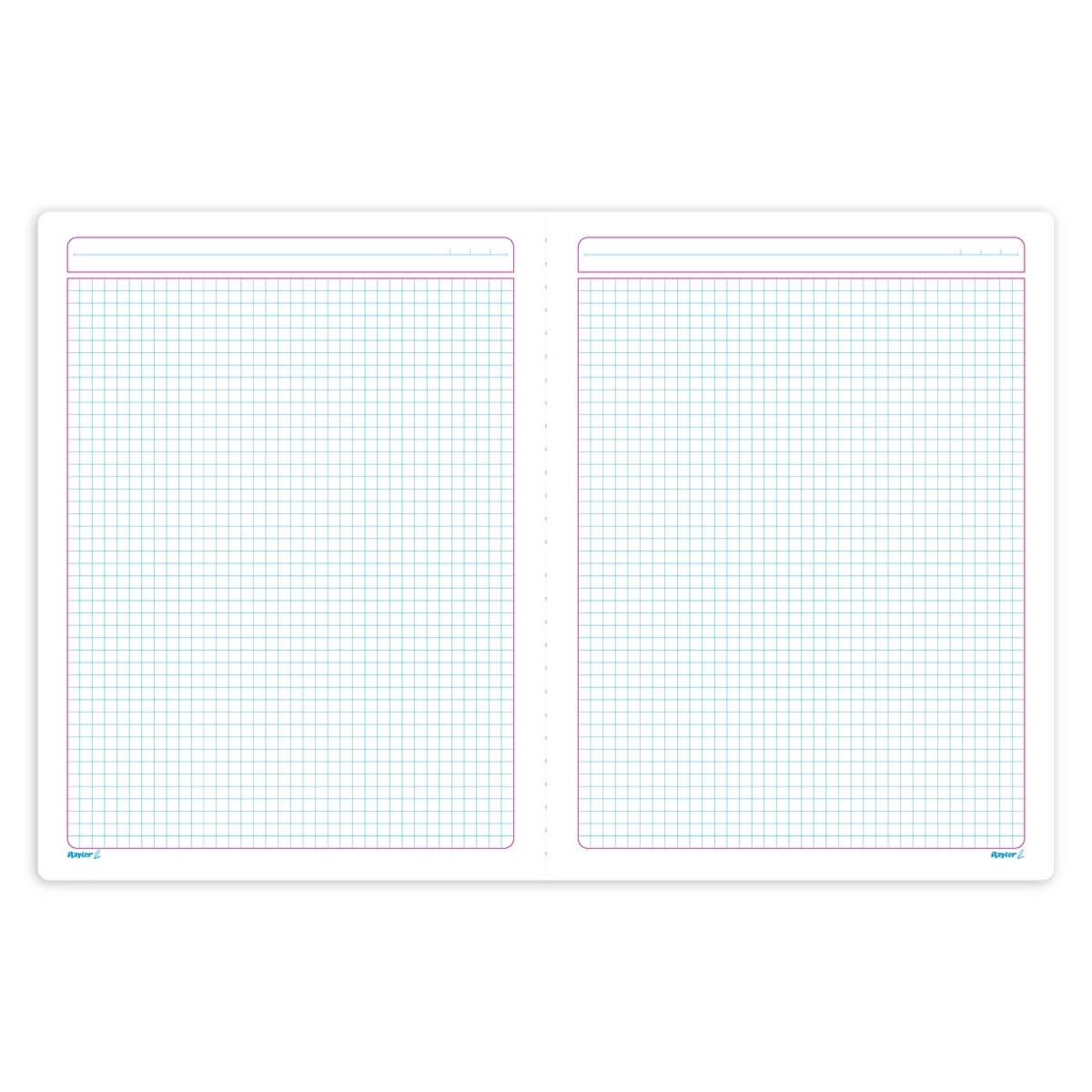 Cuaderno Profesional Cocido Rayter 100 Hojas