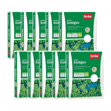 Caja con 5000 Hojas Papel Fotobond Ecológico Scribe Blanco Carta Impresión