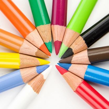 Lápices de Colores Faber Castell Polychromos Profesionales Premium 12 Pz - MarchanteMX