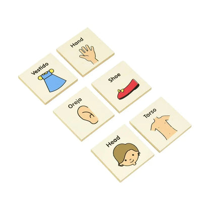 Juego Memoria Partes Cuerpo Esp-ing Madera Didáctico Diako Diako