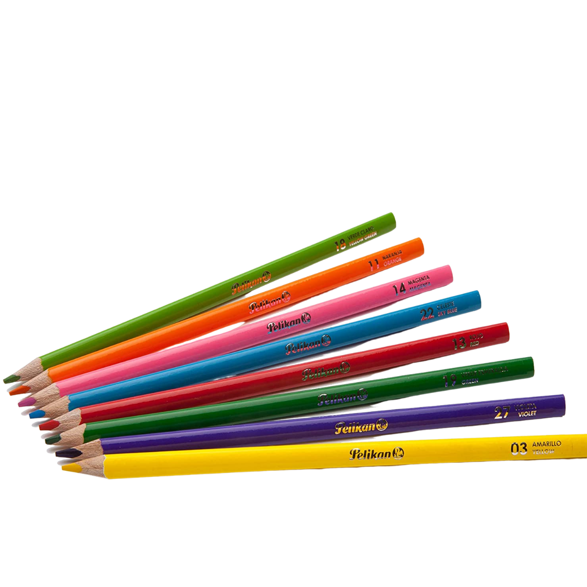 Lápices de Colores Triangular 4mm Pelikan 24 Piezas