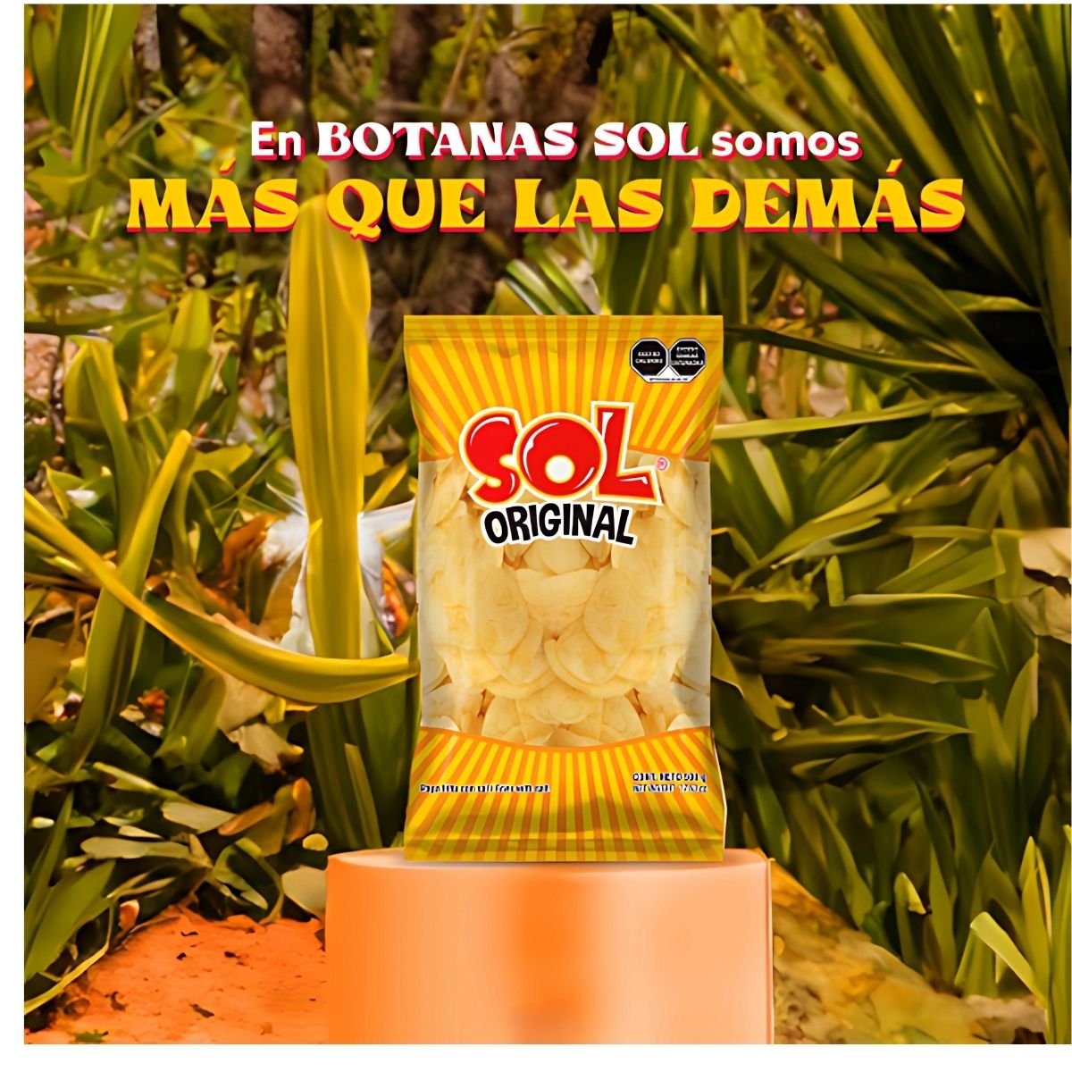 Papas Sol Sabor Original Botana Snack Salado Bolsa 1kg