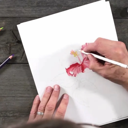 Canson Bristol Blanco Xl 22.9x30cm