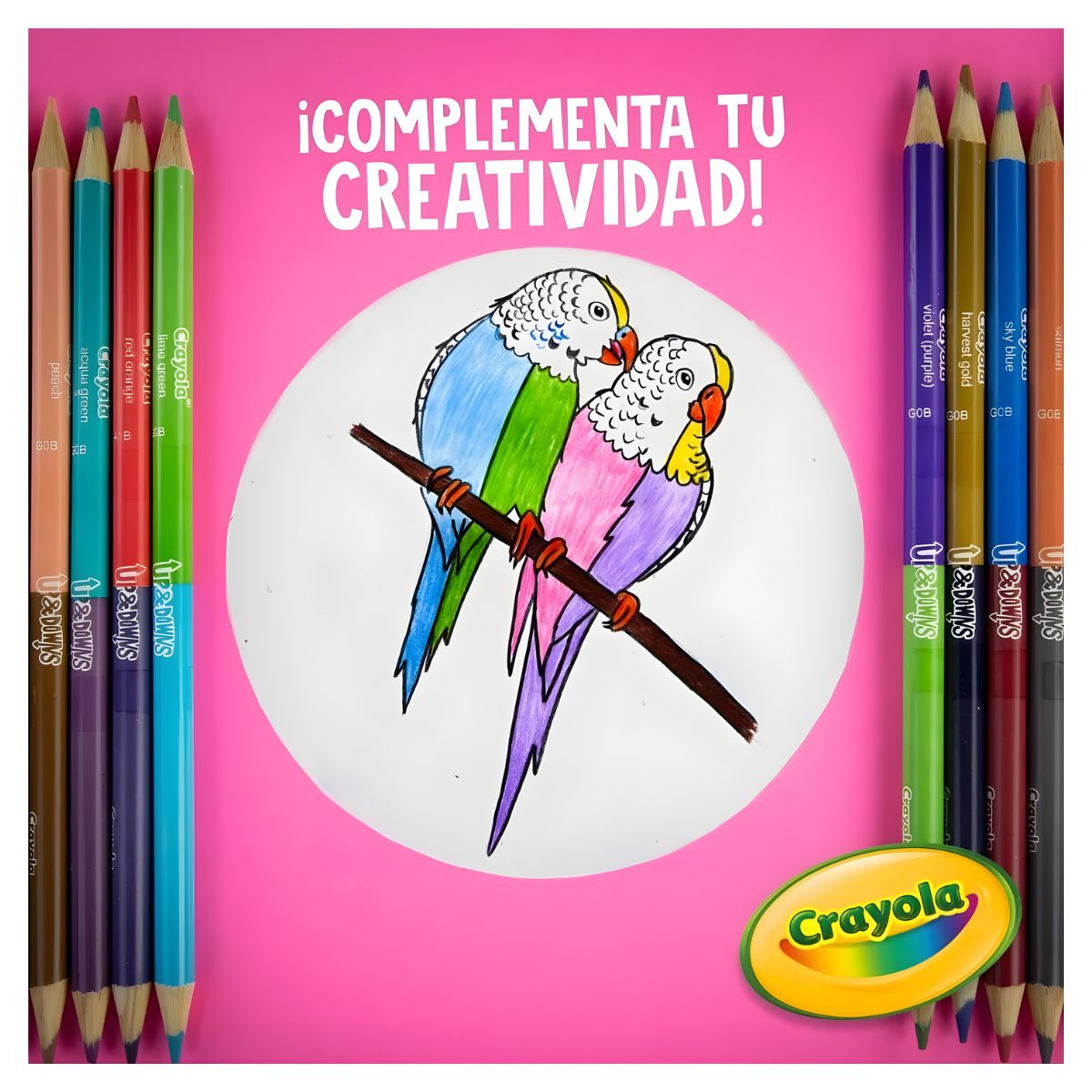 Lápices De Colores Crayola Up And Down Bicolor 12 Doble Punta 24 Colores