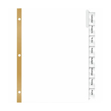 8 Separador Carpeta Insertables Avery Pestañas Transparentes