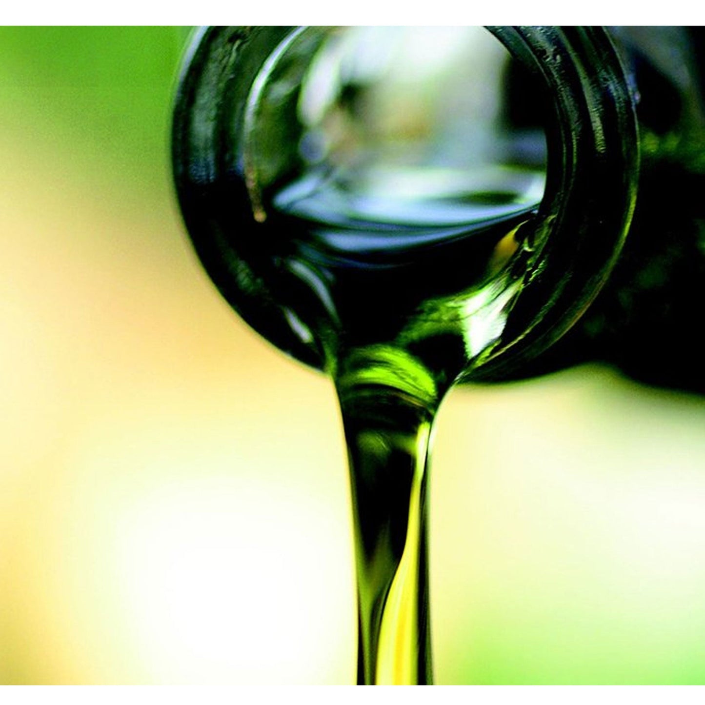 Aceite de Oliva Picual 500ml - Aceites La casa del bacalao