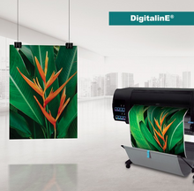 Papel Recubierto Mate Alta Resolución Bj331 Kronaline