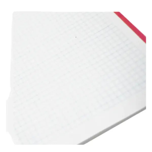 100 Hojas Repuesto Carpeta First Class Carta Cuadro Grande First Class