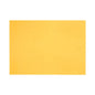 PAQUETE 10 HJS 45 x 60 LISO AMARILLO - First Class