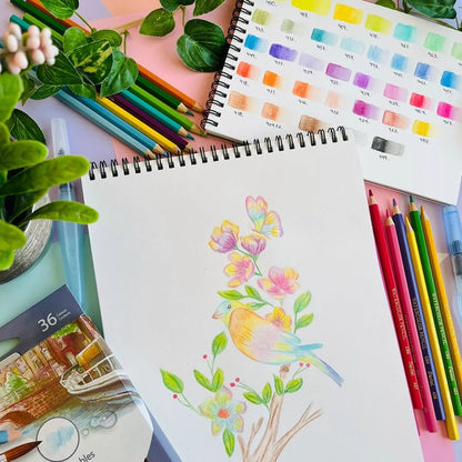 36 Lápiz Color Acuarelable Pentel Arts Profesionales Arte