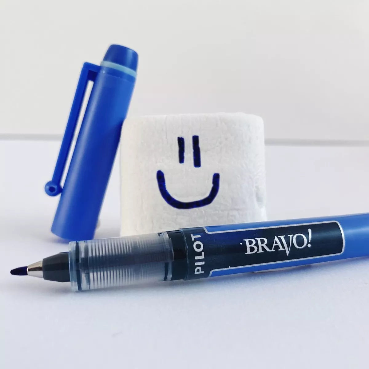 Caja 12 Marcadores Bravo Pilot Tinta Liquida Punto Fino