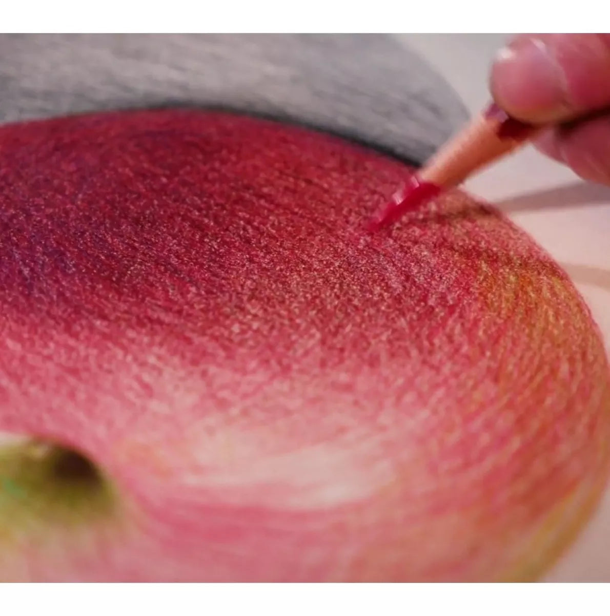 Canson Xl Sketch Libreta Cuaderno Block Dibujo 22.9x30.5cm