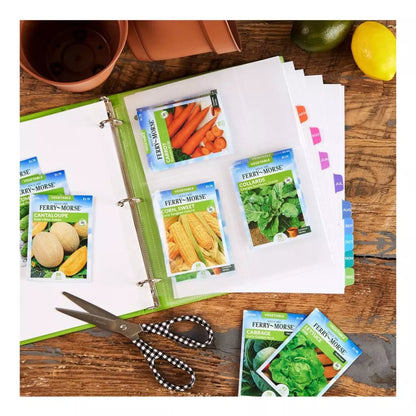 Separador Prediseñado Avery Pestañas Multicolor Mensual - Marchante MX