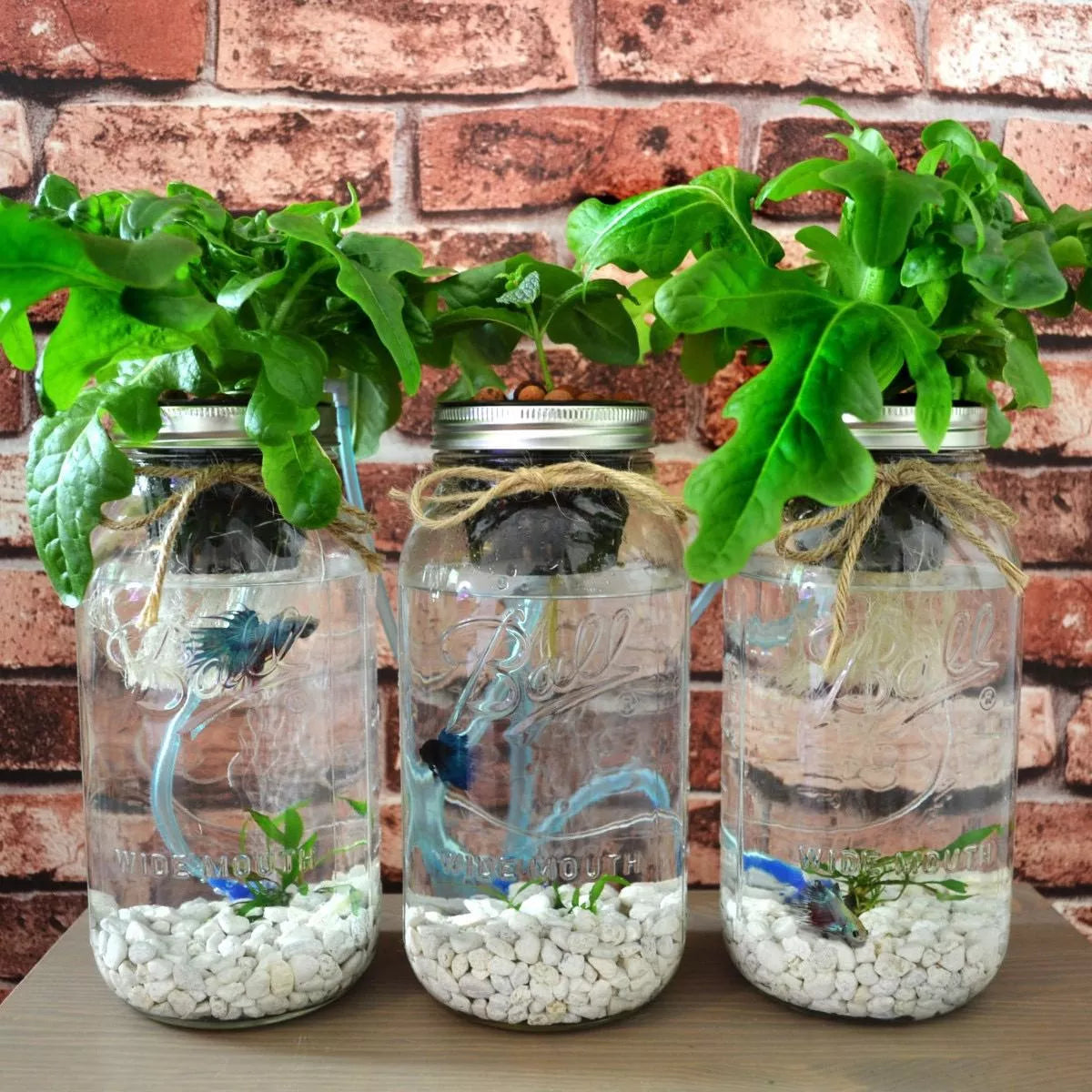 Frasco De Vidrio Mason Jar Ball 16 Oz Y 32 Oz 8 Pack - Marchante MX