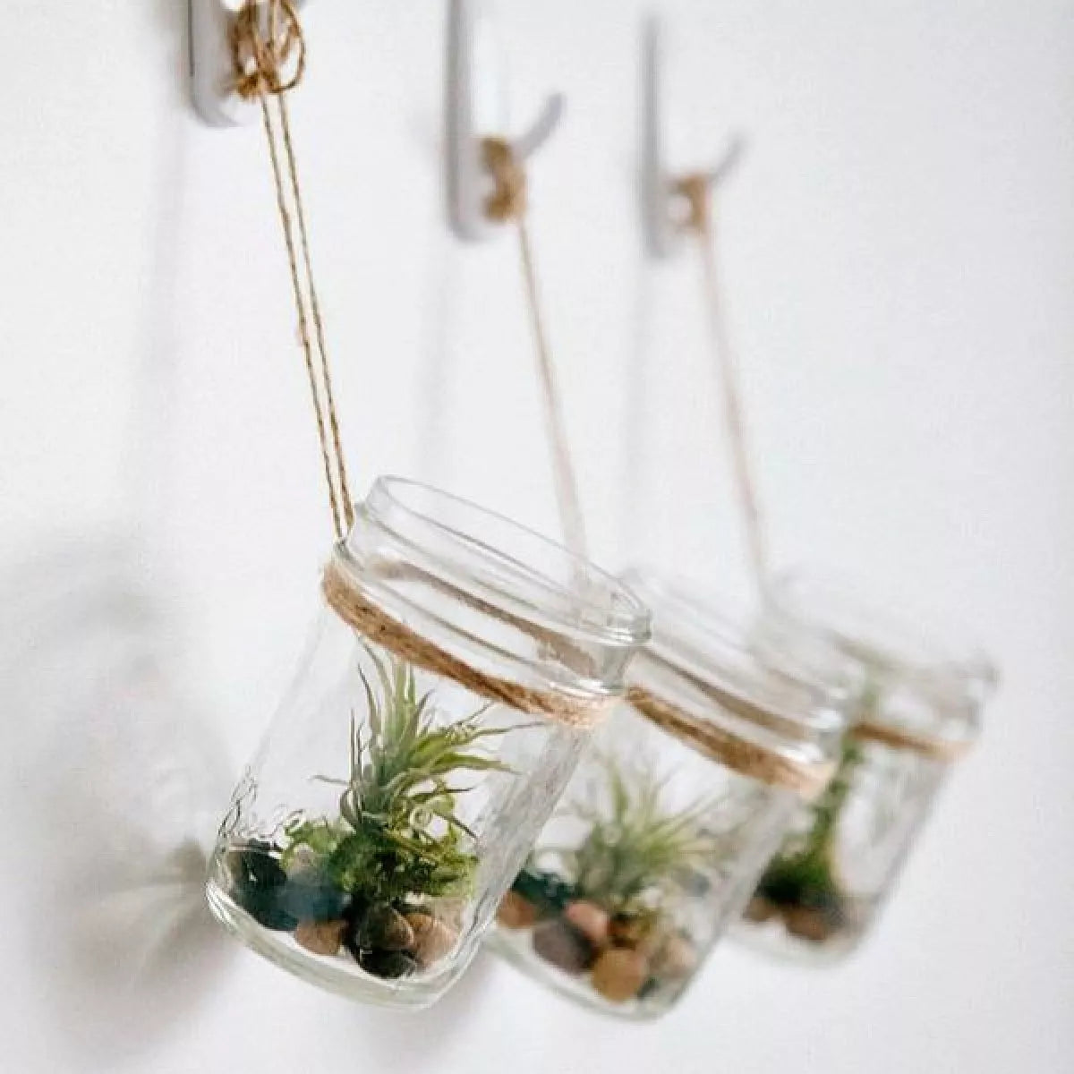 6pz Frasco Vidrio Mason Jars Ball 8oz Tarro Envase Tapa